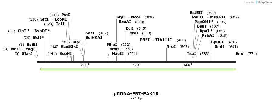 94431_map