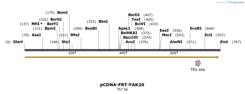 94433_map