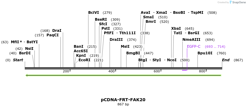 94435_map
