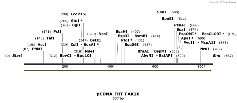 94438_map