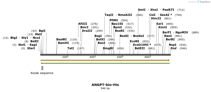 94440_map
