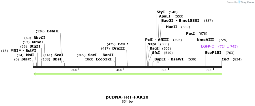 94441_map
