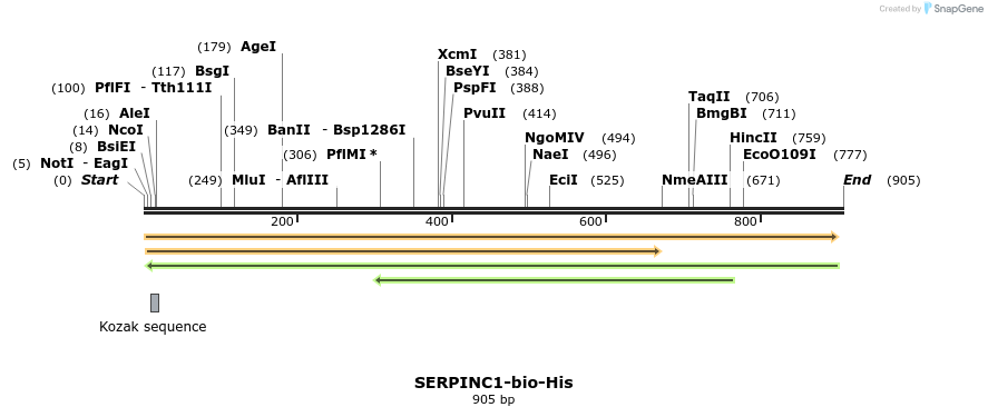 94443_map