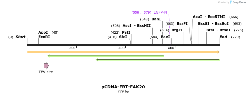 94444_map