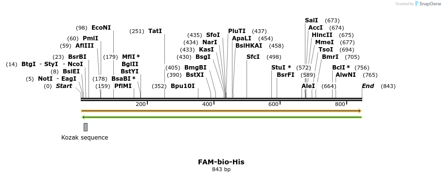 94446_map