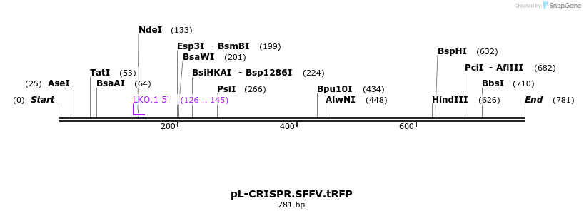 94451_map