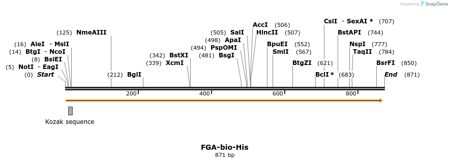 94452_map