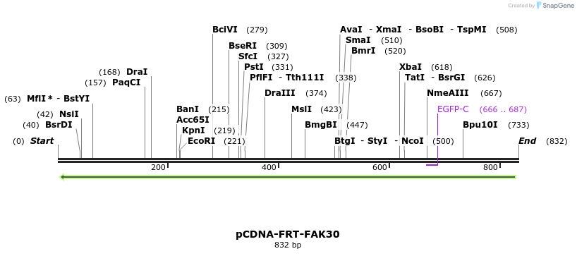 94453_map