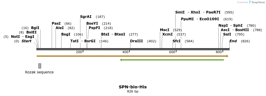94461_map