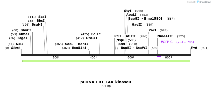 94468_map