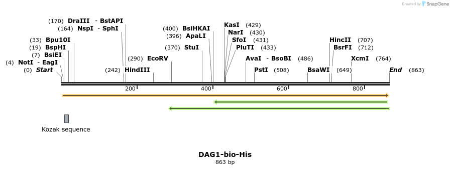 94472_map