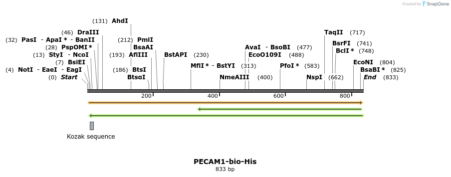 94476_map