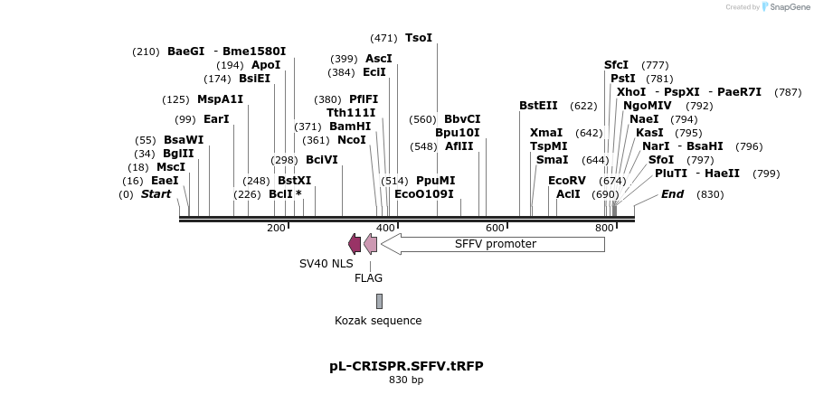 94480_map