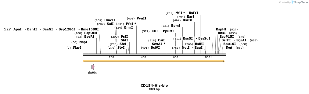 94482_map