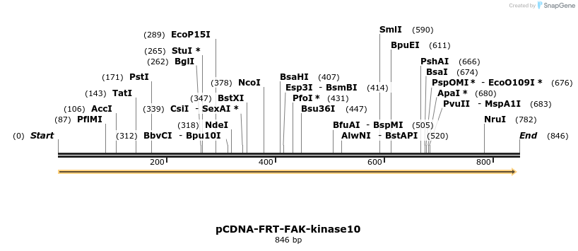 94485_map