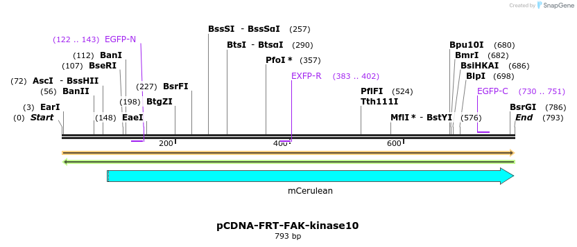 94489_map