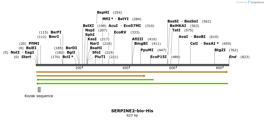 94491_map