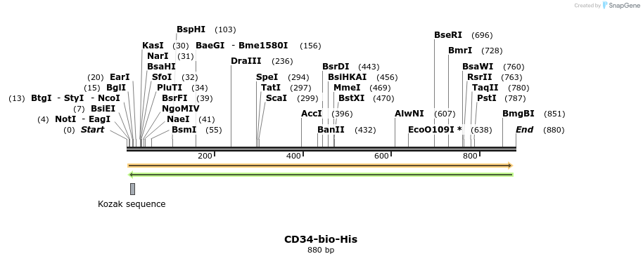 94522_map