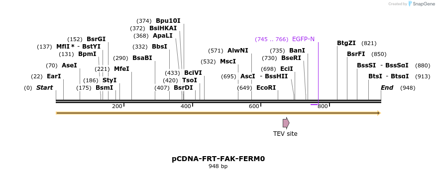 94530_map