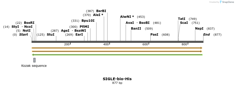 94542_map