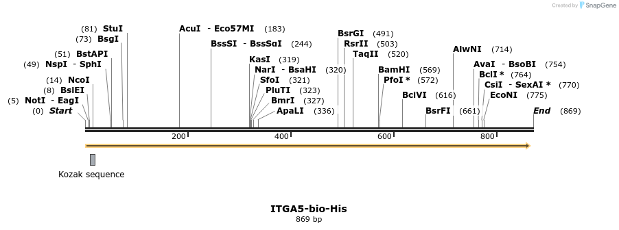 94549_map