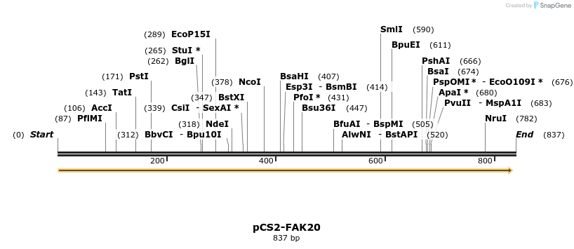 94557_map