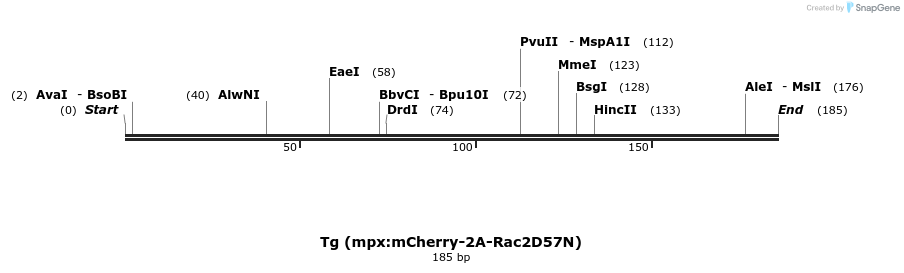 94559_map