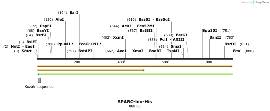 94561_map