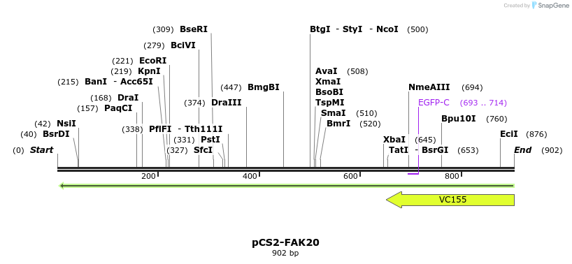 94562_map