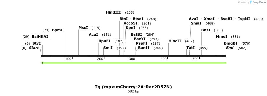 94563_map