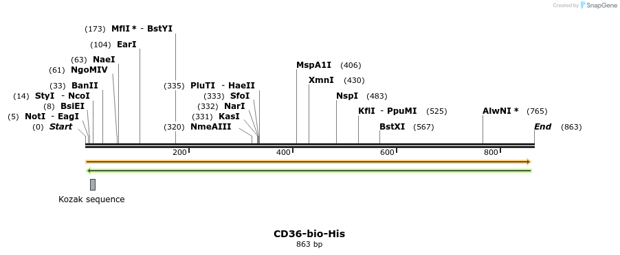 94564_map