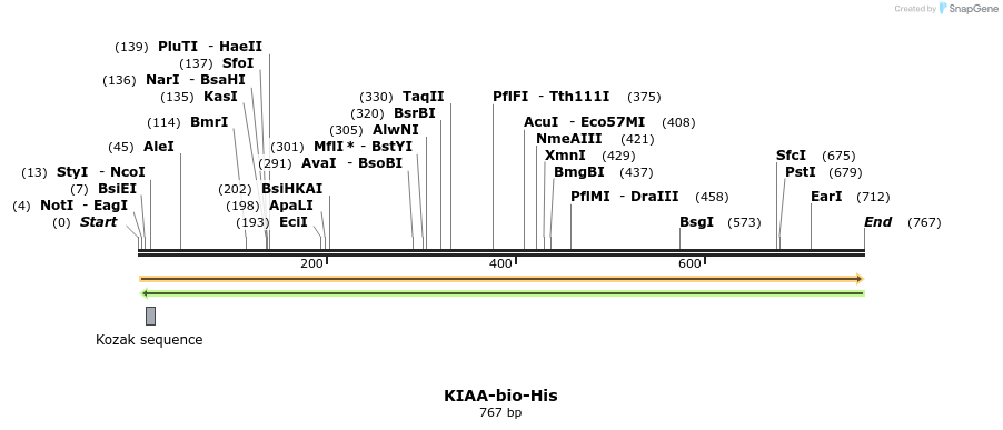 94567_map