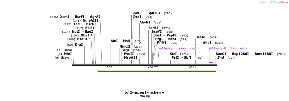 94568_map