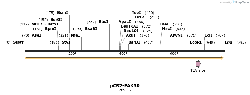 94569_map