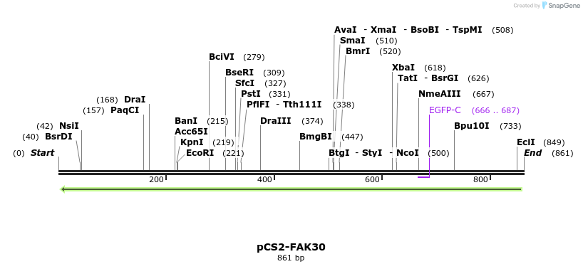 94571_map