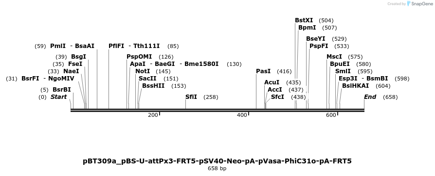 94574_map