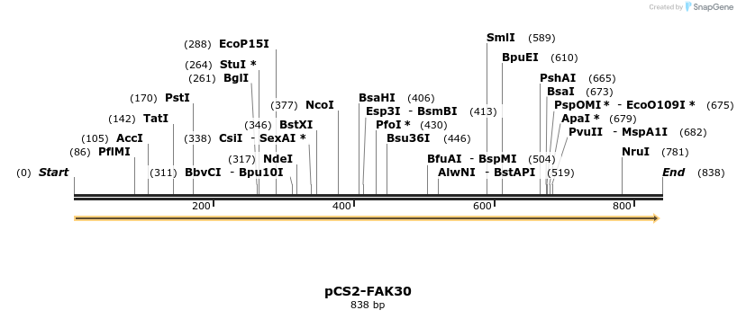 94575_map