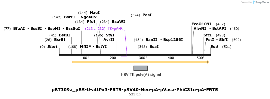 94577_map
