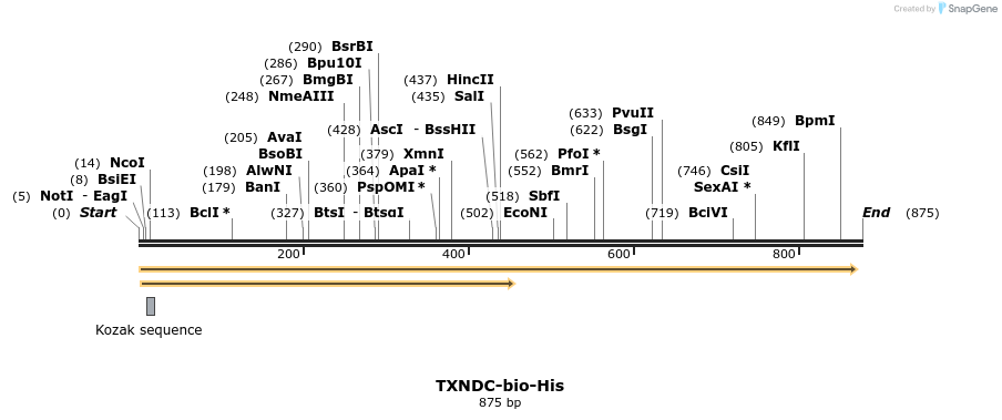 94579_map
