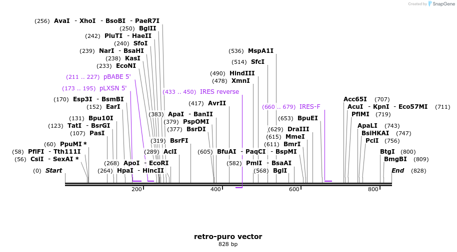 94580_map