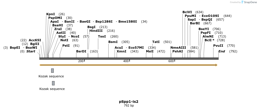 94582_map