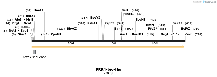 94583_map