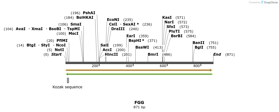 94588_map