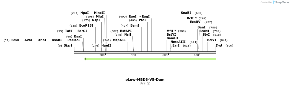 94593_map