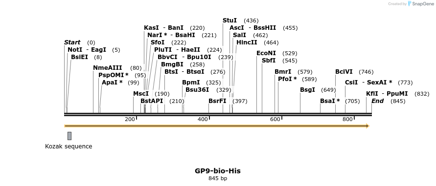 94594_map