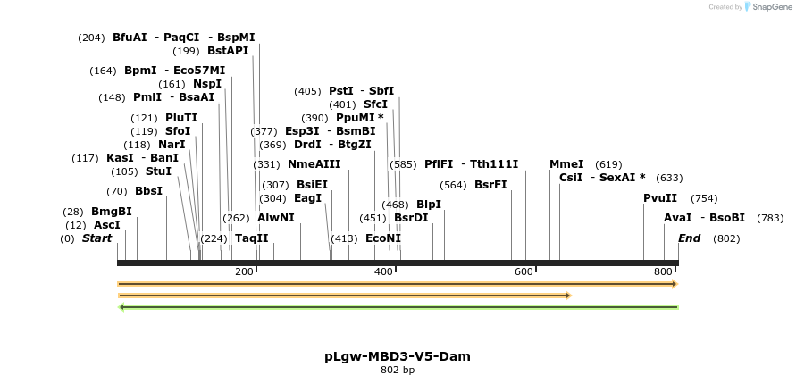 94595_map