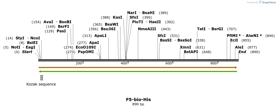 94596_map
