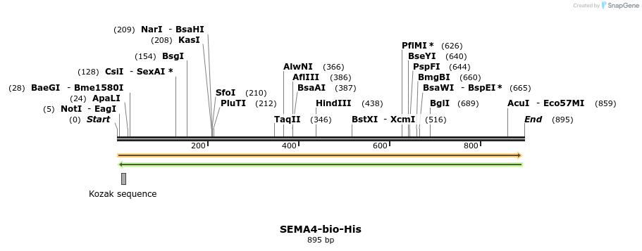 94597_map