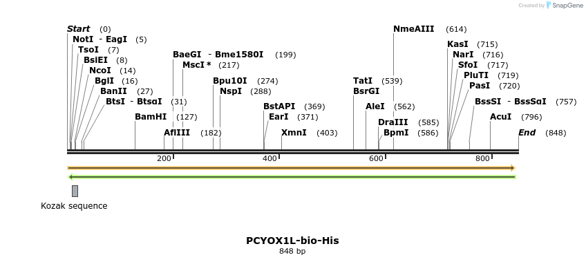 94598_map