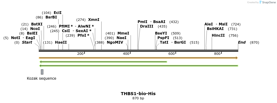 94599_map